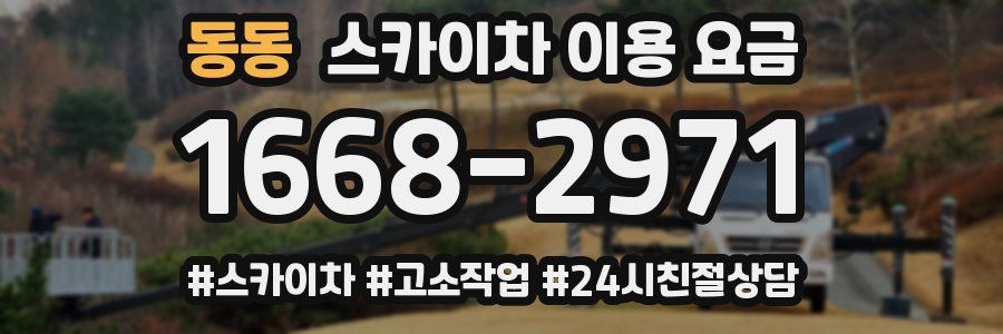 동동 스카이차 이용 요금