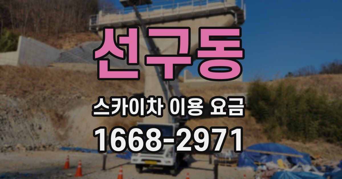 선구동 스카이차 이용 요금
