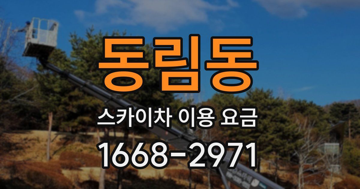 동림동 스카이차 이용 요금