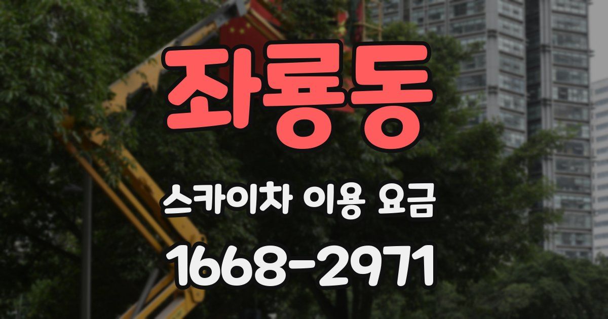좌룡동 스카이차 이용 요금