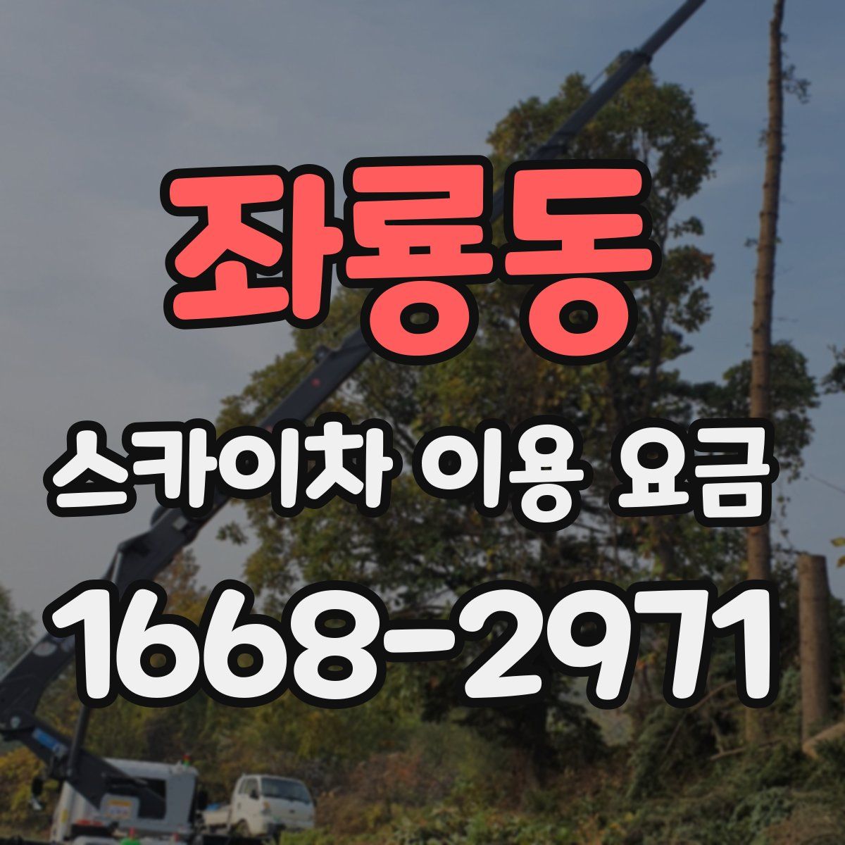 좌룡동 스카이차 이용 요금