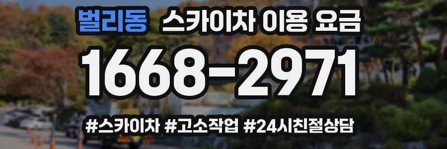 벌리동 스카이차 이용 요금