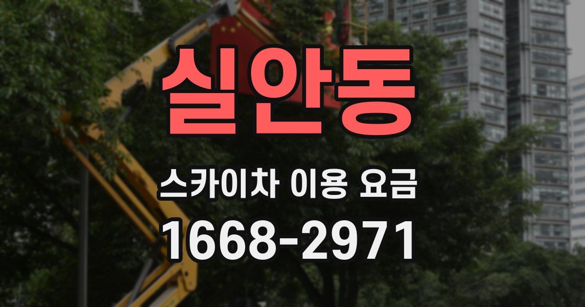 실안동 스카이차 이용 요금