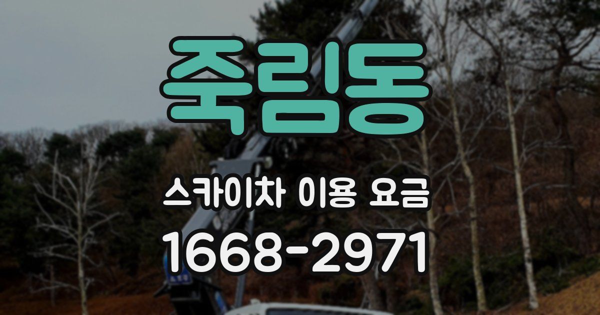죽림동 스카이차 이용 요금