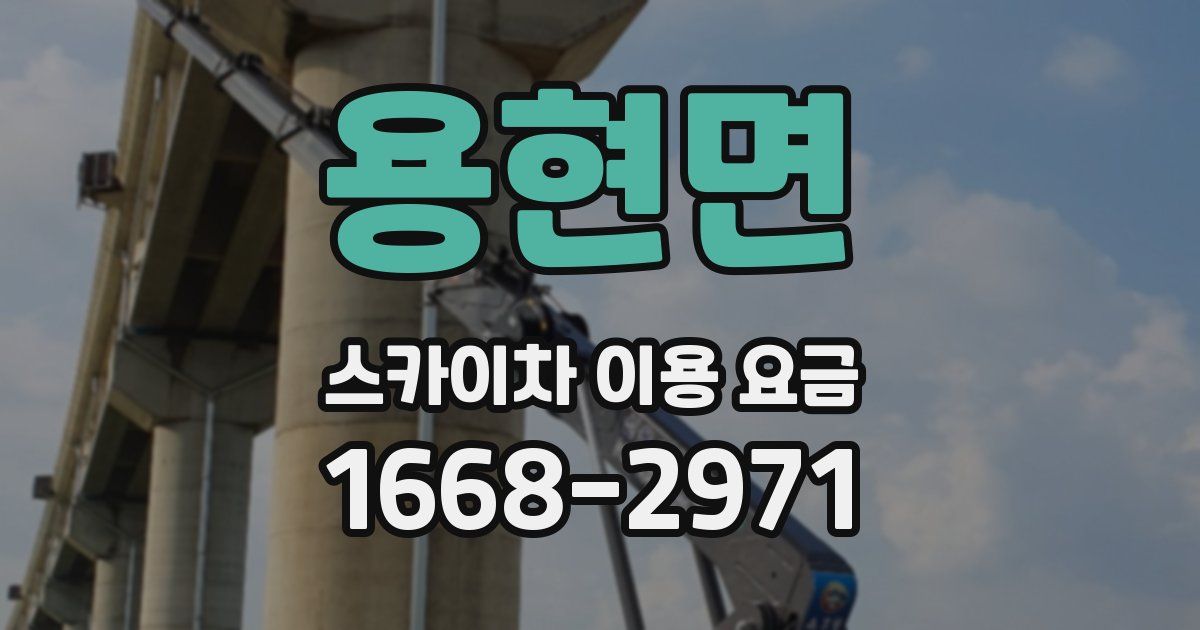 용현면 스카이차 이용 요금