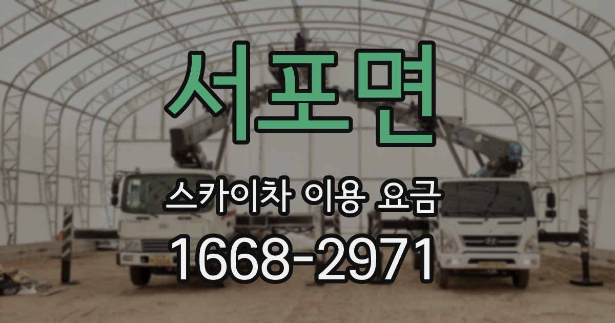 서포면 스카이차 이용 요금