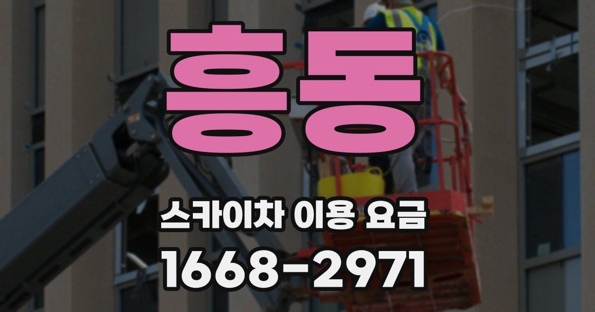 흥동 스카이차 이용 요금