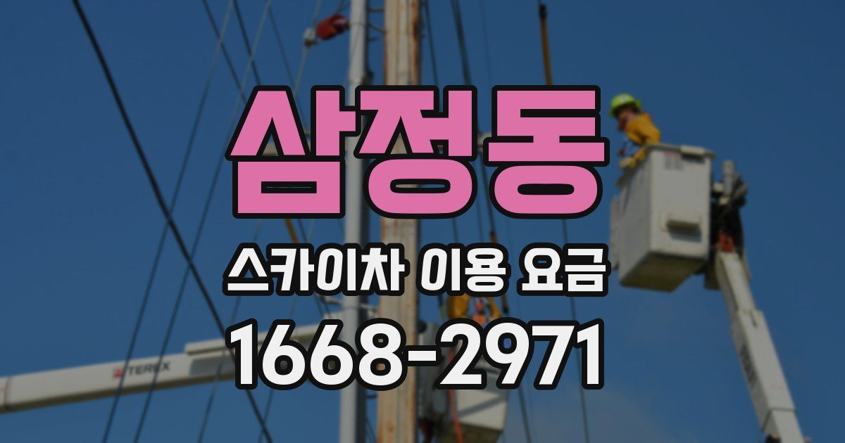 삼정동 스카이차 이용 요금