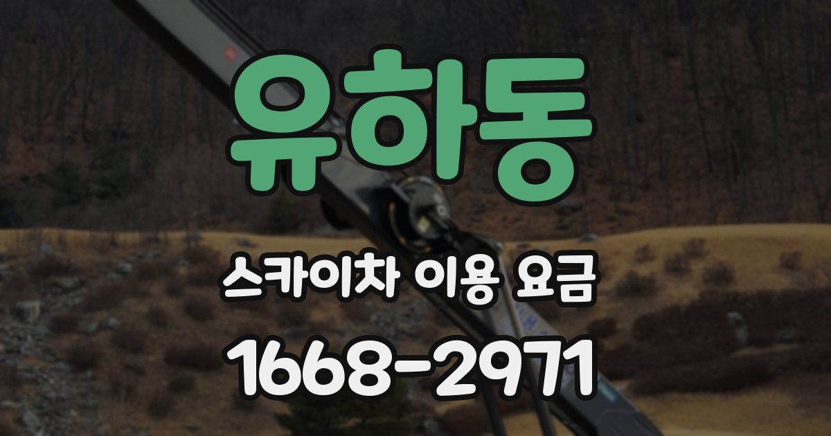 유하동 스카이차 이용 요금