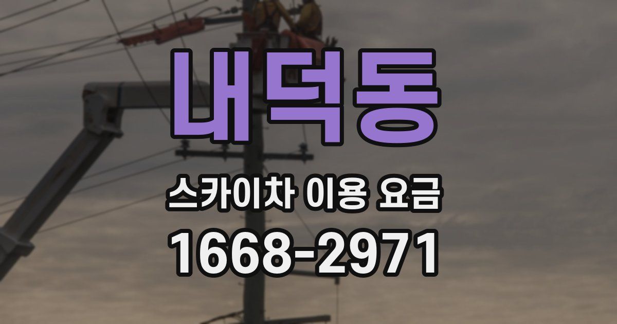 내덕동 스카이차 이용 요금