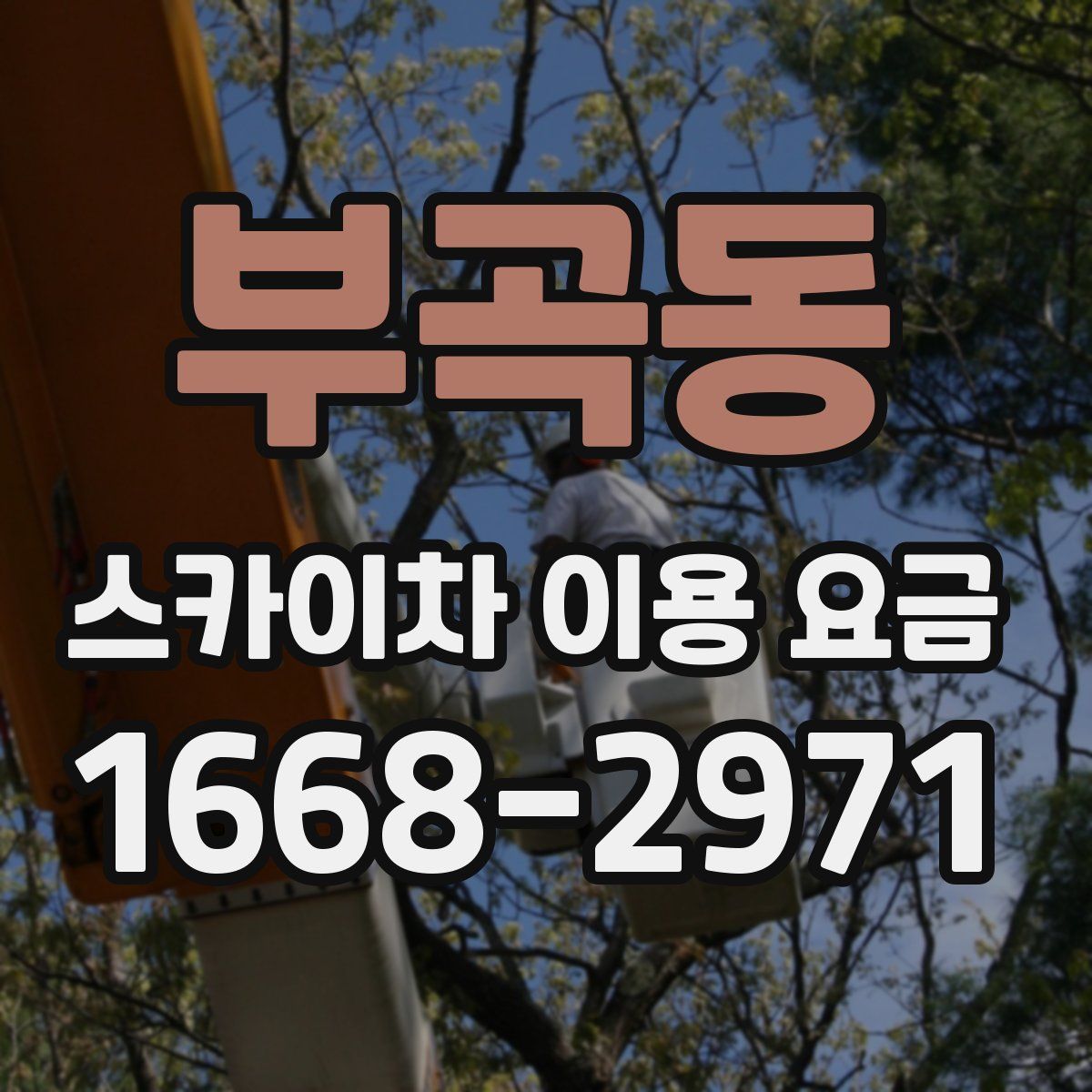 부곡동 스카이차 이용 요금