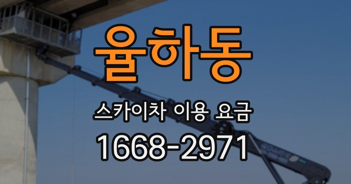 율하동 스카이차 이용 요금