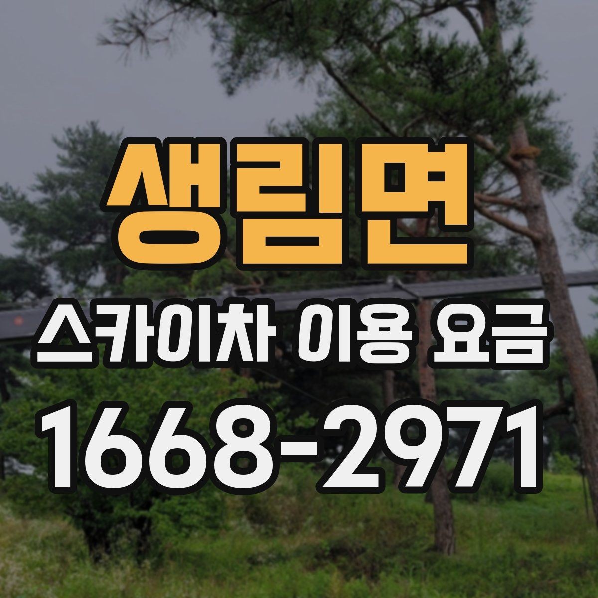 생림면 스카이차 이용 요금 비교 전 체크해야 할 항목
