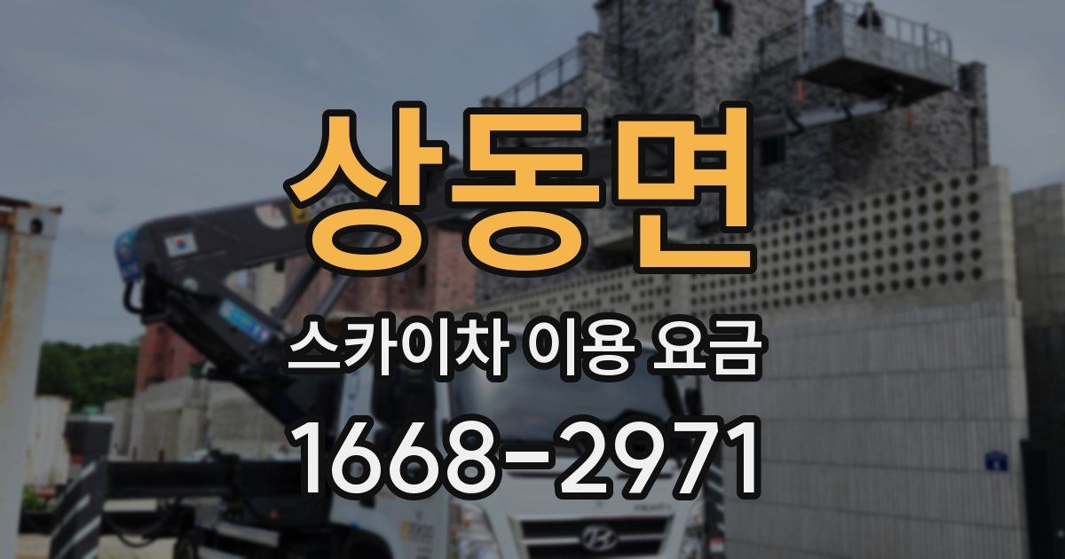 상동면 스카이차 이용 요금
