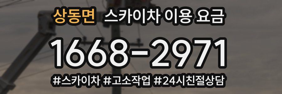 상동면 스카이차 이용 요금