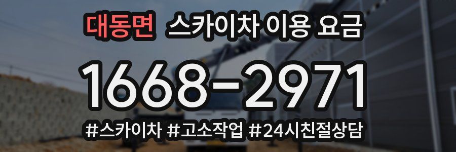 대동면 스카이차 이용 요금