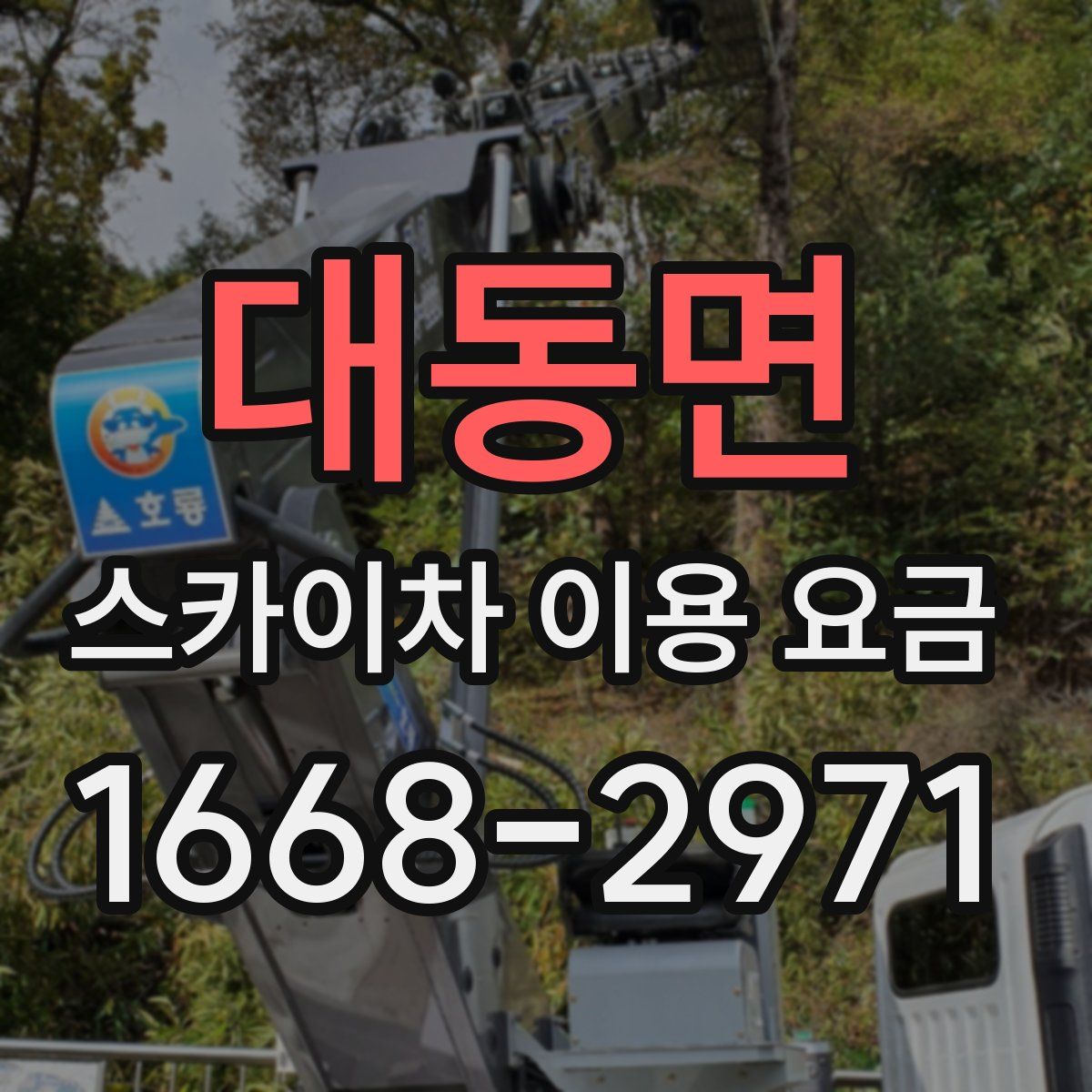 대동면 스카이차 이용 요금