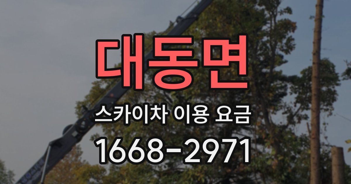 대동면 스카이차 이용 요금
