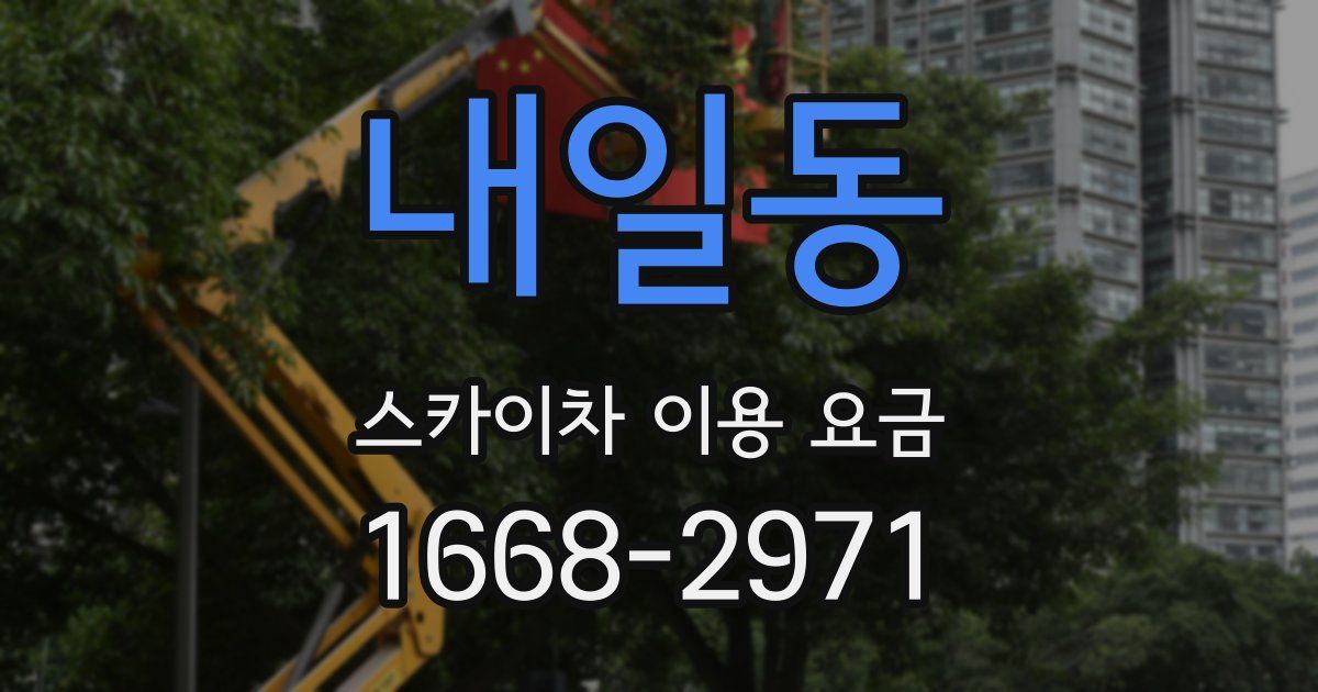 내일동 스카이차 이용 요금