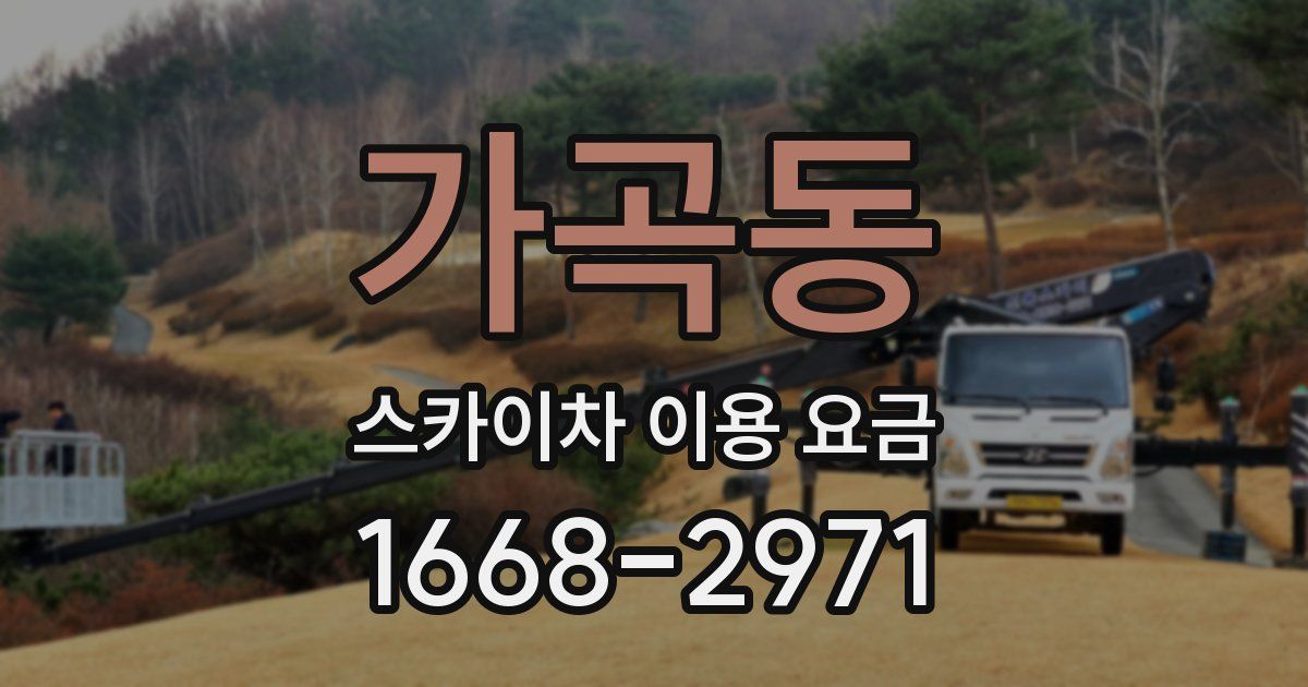 가곡동 스카이차 이용 요금