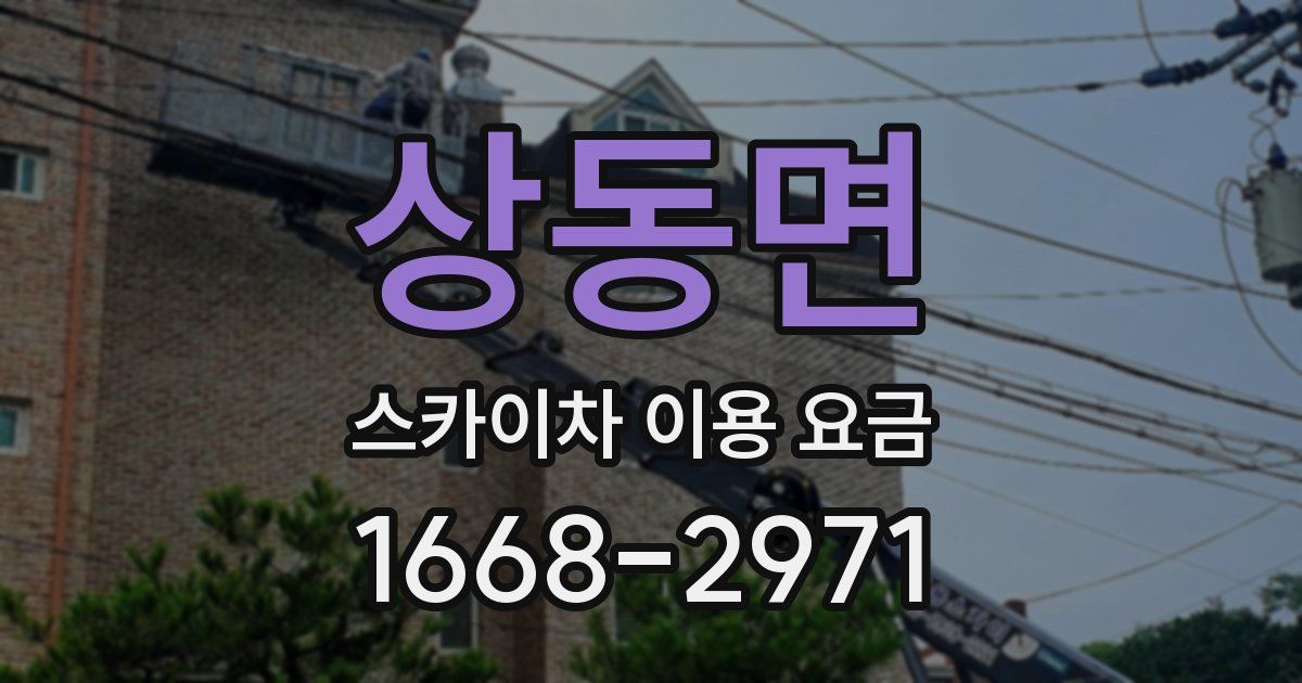 상동면 스카이차 이용 요금