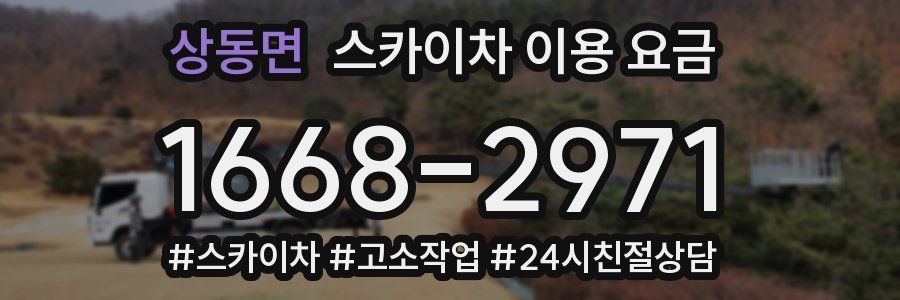 상동면 스카이차 이용 요금