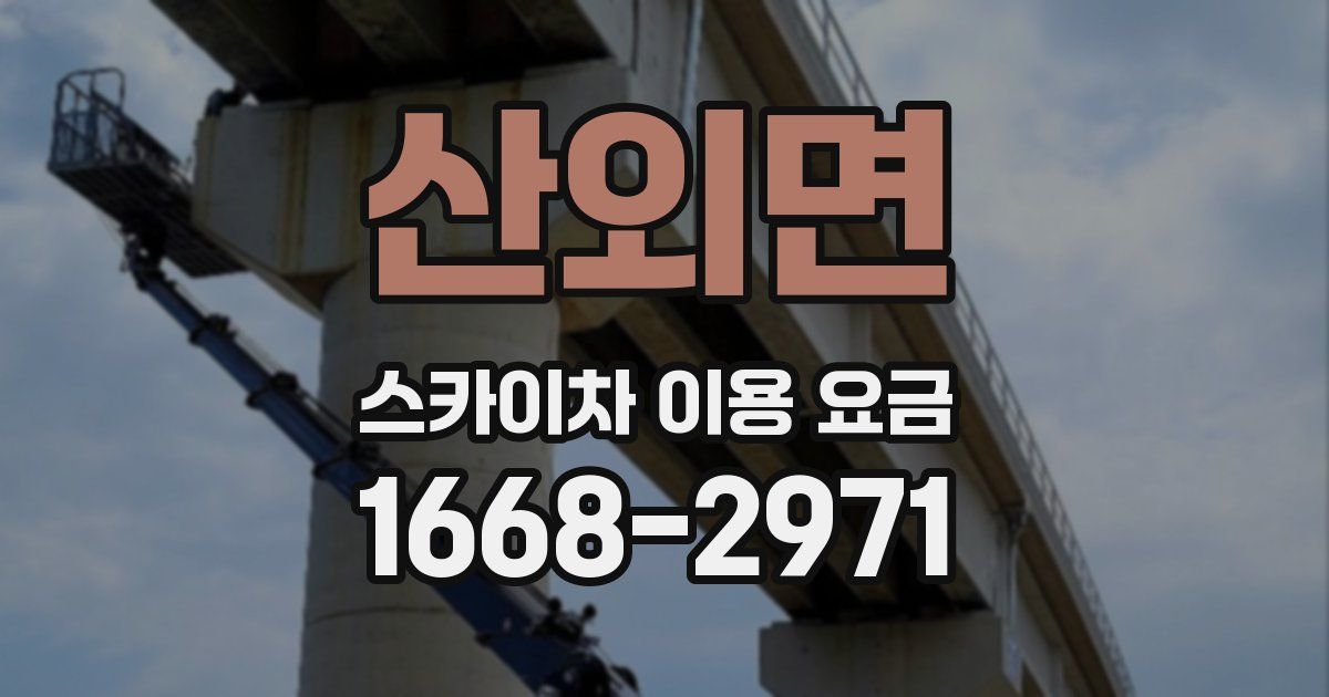 산외면 스카이차 이용 요금