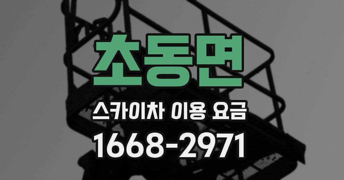 초동면 스카이차 이용 요금