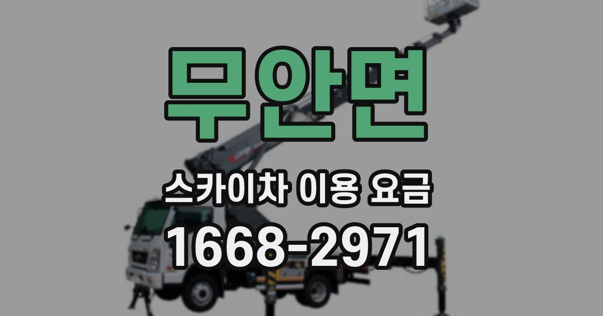 무안면 스카이차 이용 요금