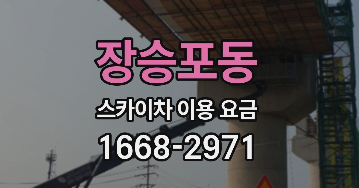 장승포동 스카이차 이용 요금