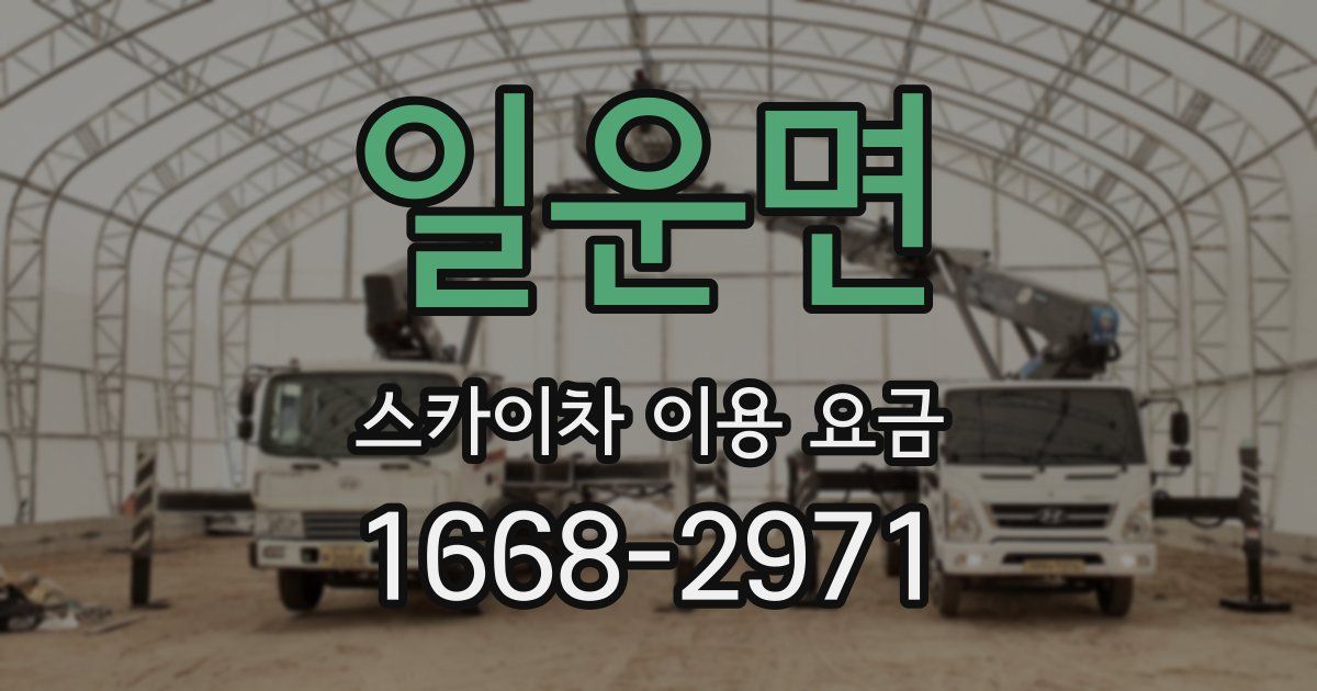 일운면 스카이차 이용 요금