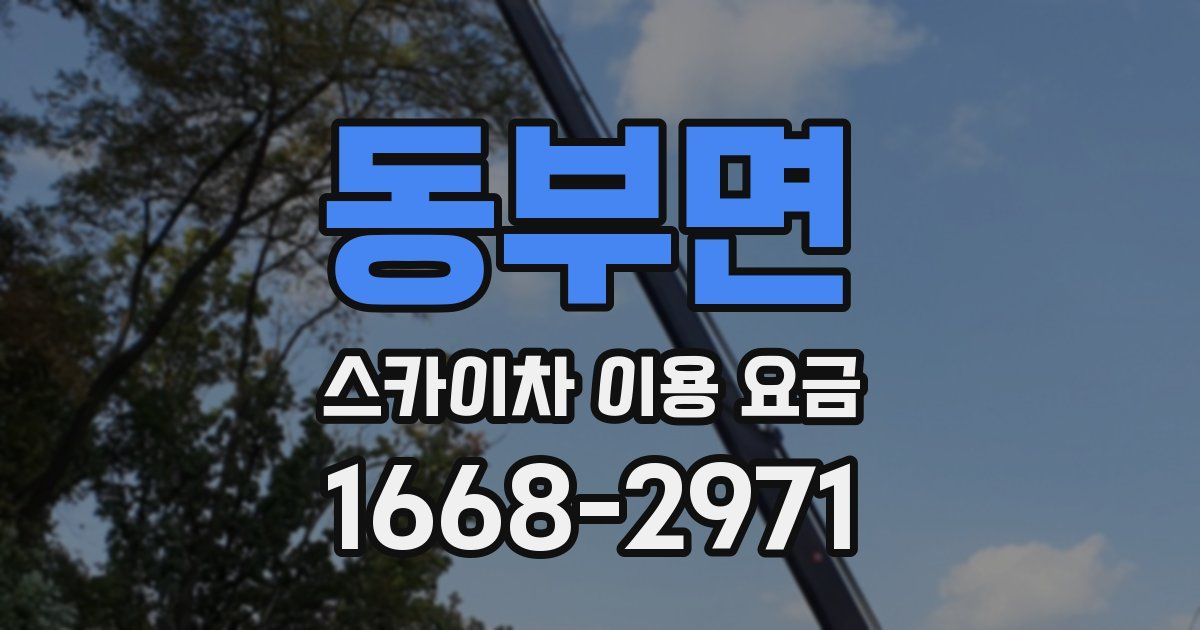 동부면 스카이차 이용 요금