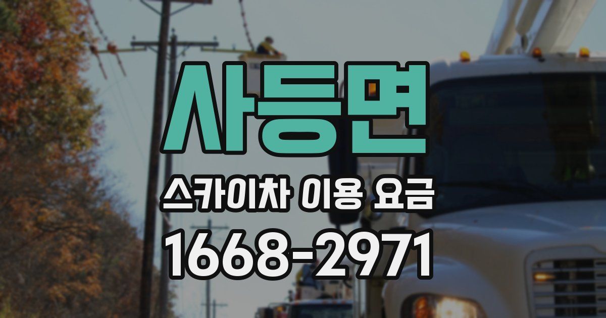 사등면 스카이차 이용 요금