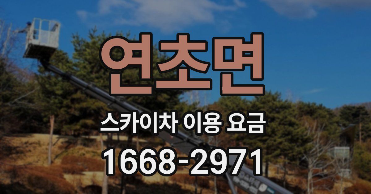 연초면 스카이차 이용 요금