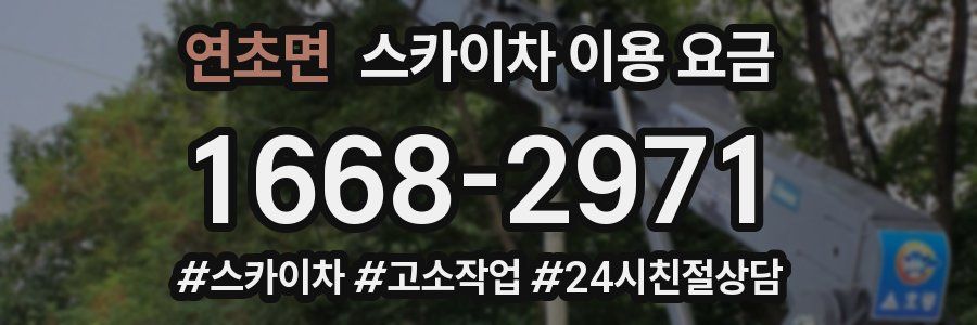 연초면 스카이차 이용 요금
