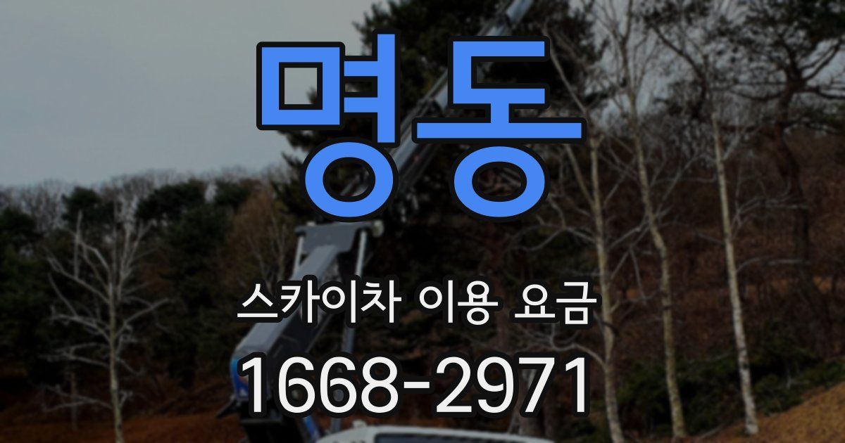 명동 스카이차 이용 요금