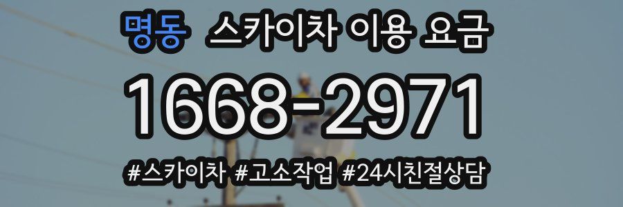 명동 스카이차 이용 요금