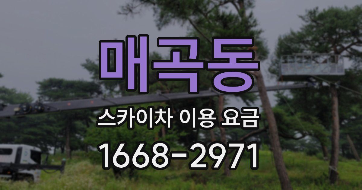 매곡동 스카이차 이용 요금