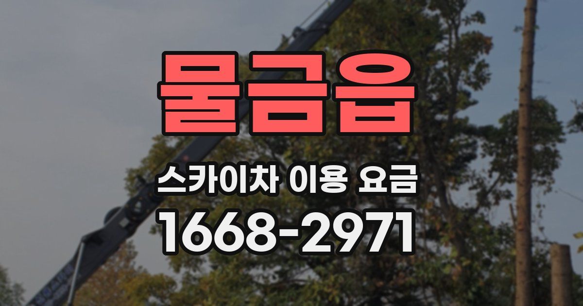 물금읍 스카이차 이용 요금