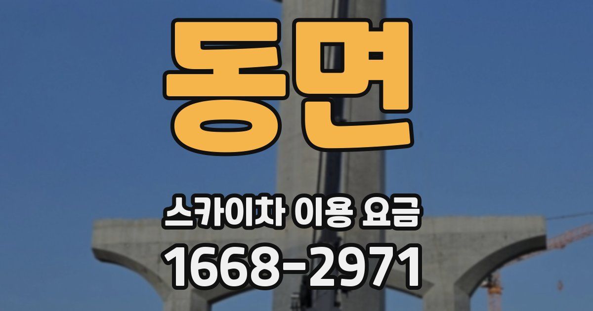 동면 스카이차 이용 요금