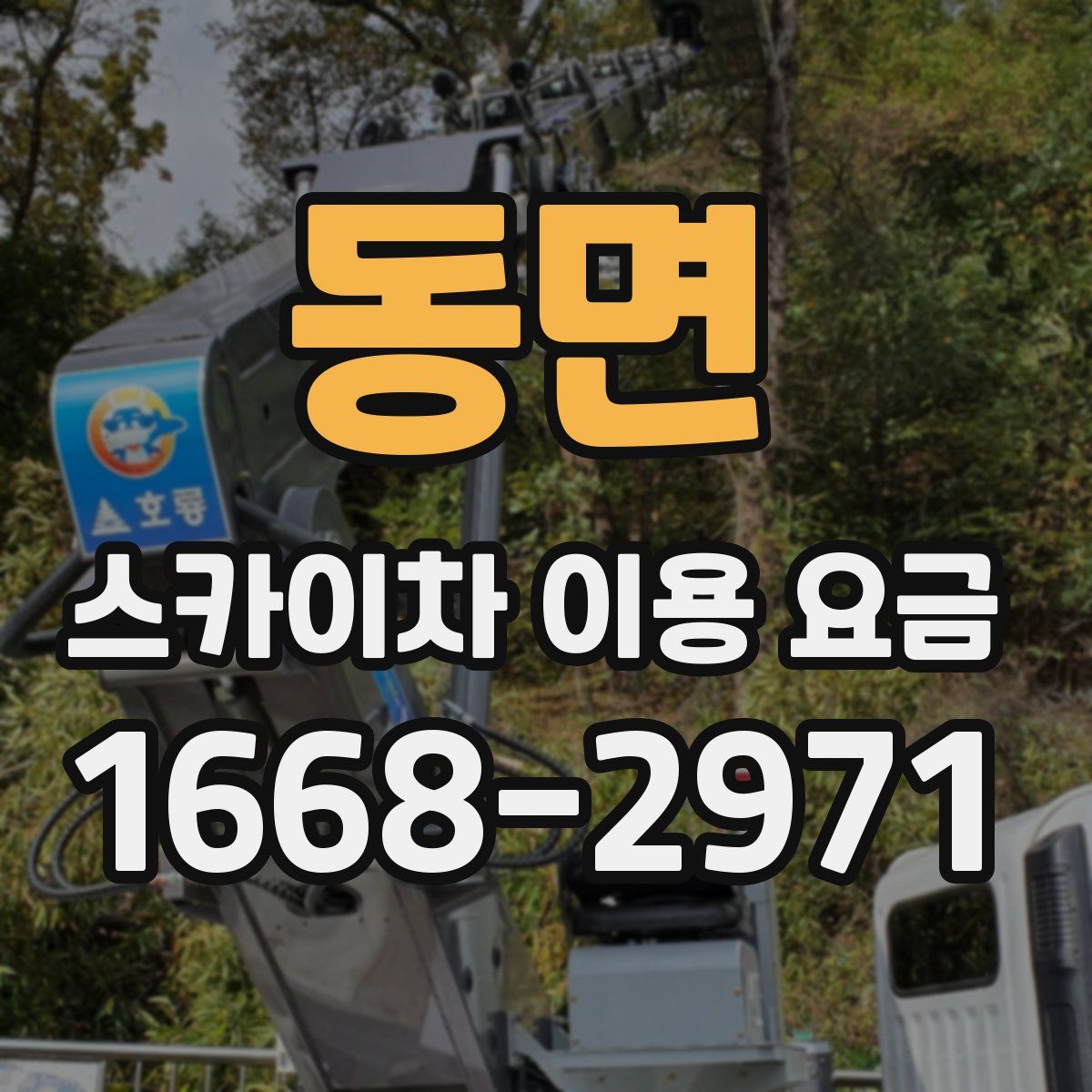 동면 스카이차 이용 요금