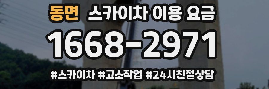 동면 스카이차 이용 요금