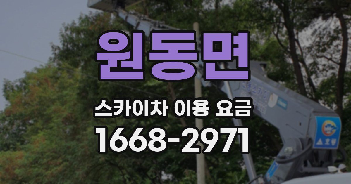 원동면 스카이차 이용 요금