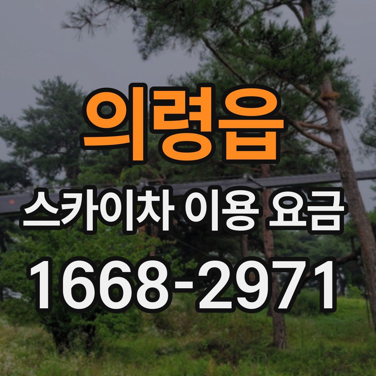 의령읍 스카이차 이용 요금