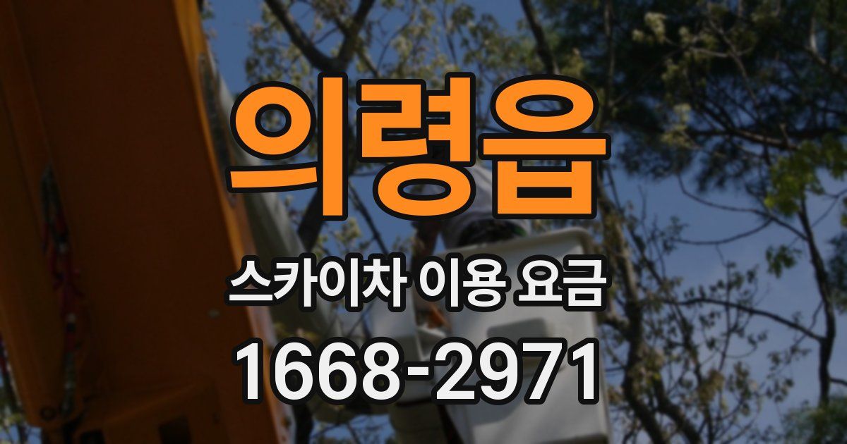 의령읍 스카이차 이용 요금