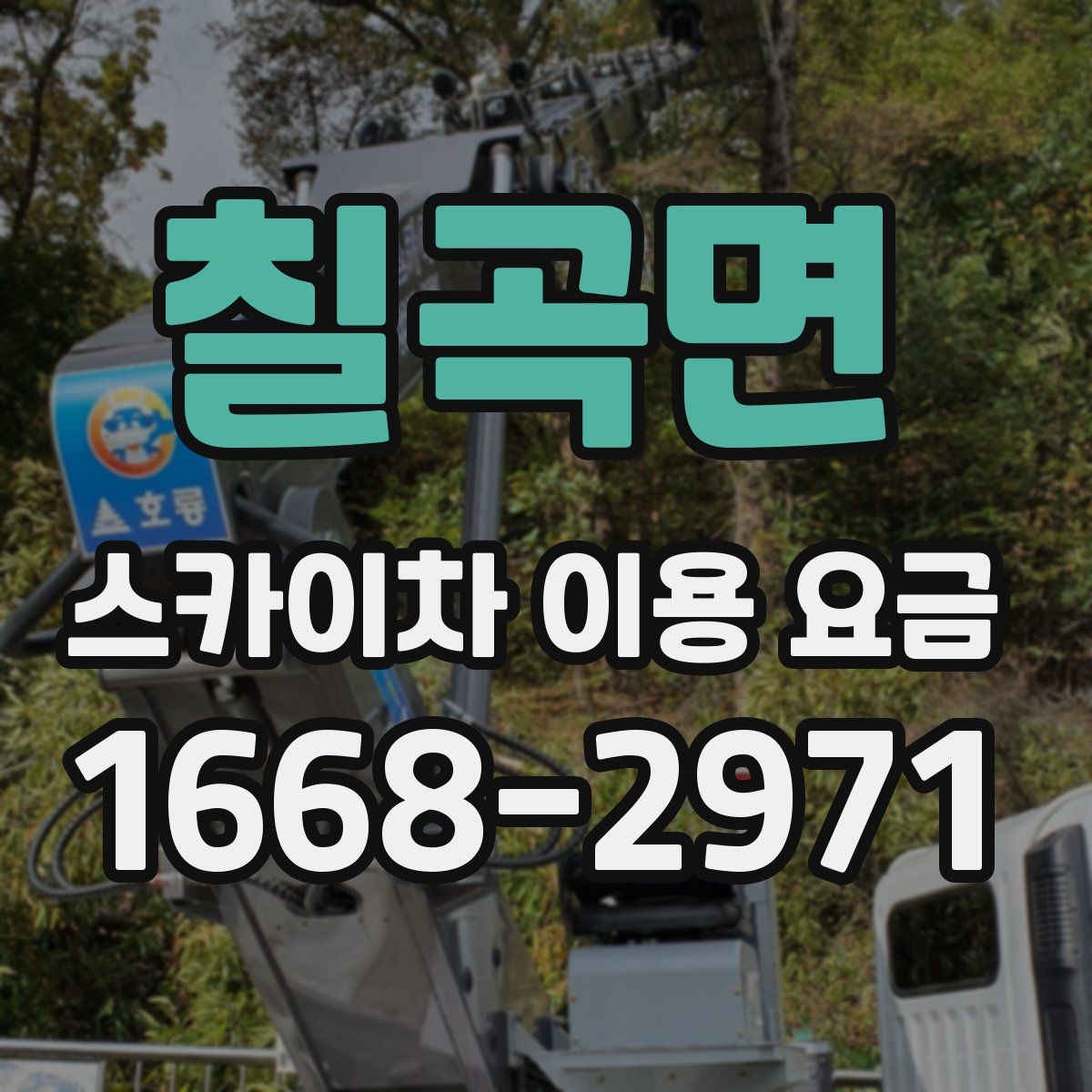 칠곡면 스카이차 이용 요금
