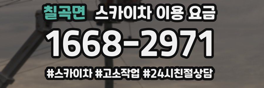 칠곡면 스카이차 이용 요금
