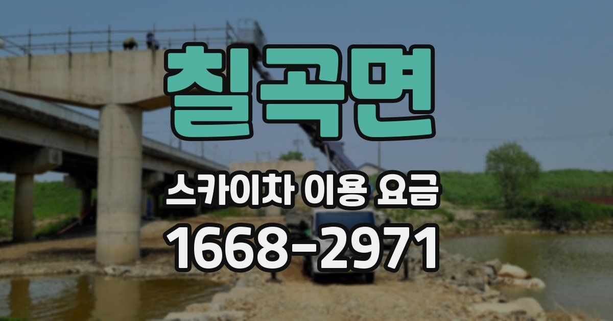 칠곡면 스카이차 이용 요금