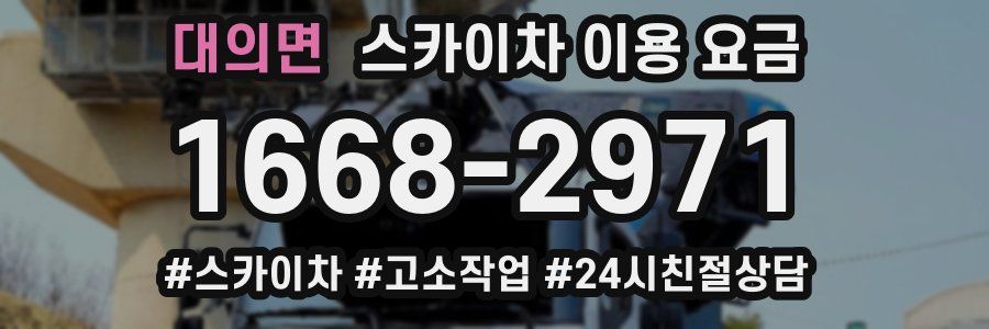 대의면 스카이차 이용 요금