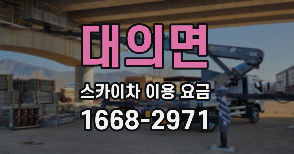대의면 스카이차 이용 요금